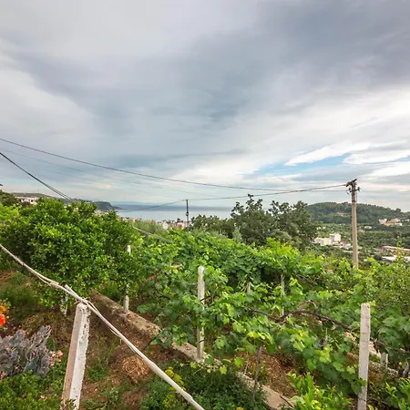 Rondo Maison d'hôtes Himarë