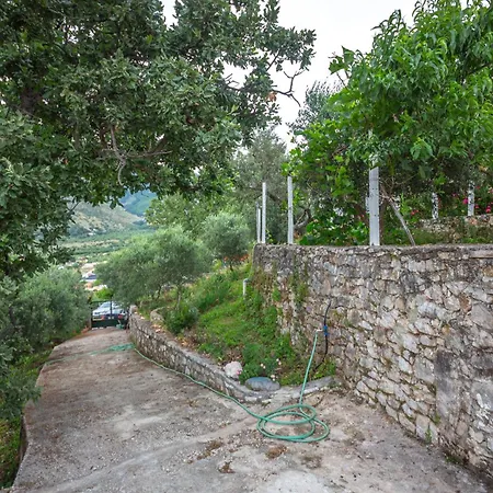 Rondo Guest house *