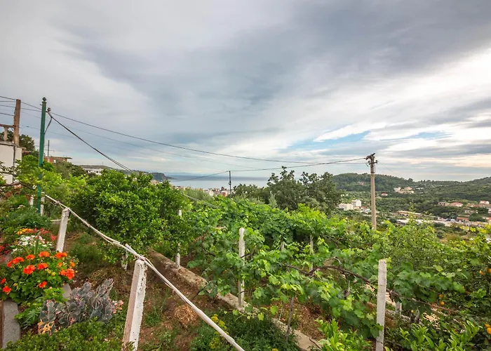 Rondo Maison d'hôtes Himarë